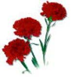 Clavel